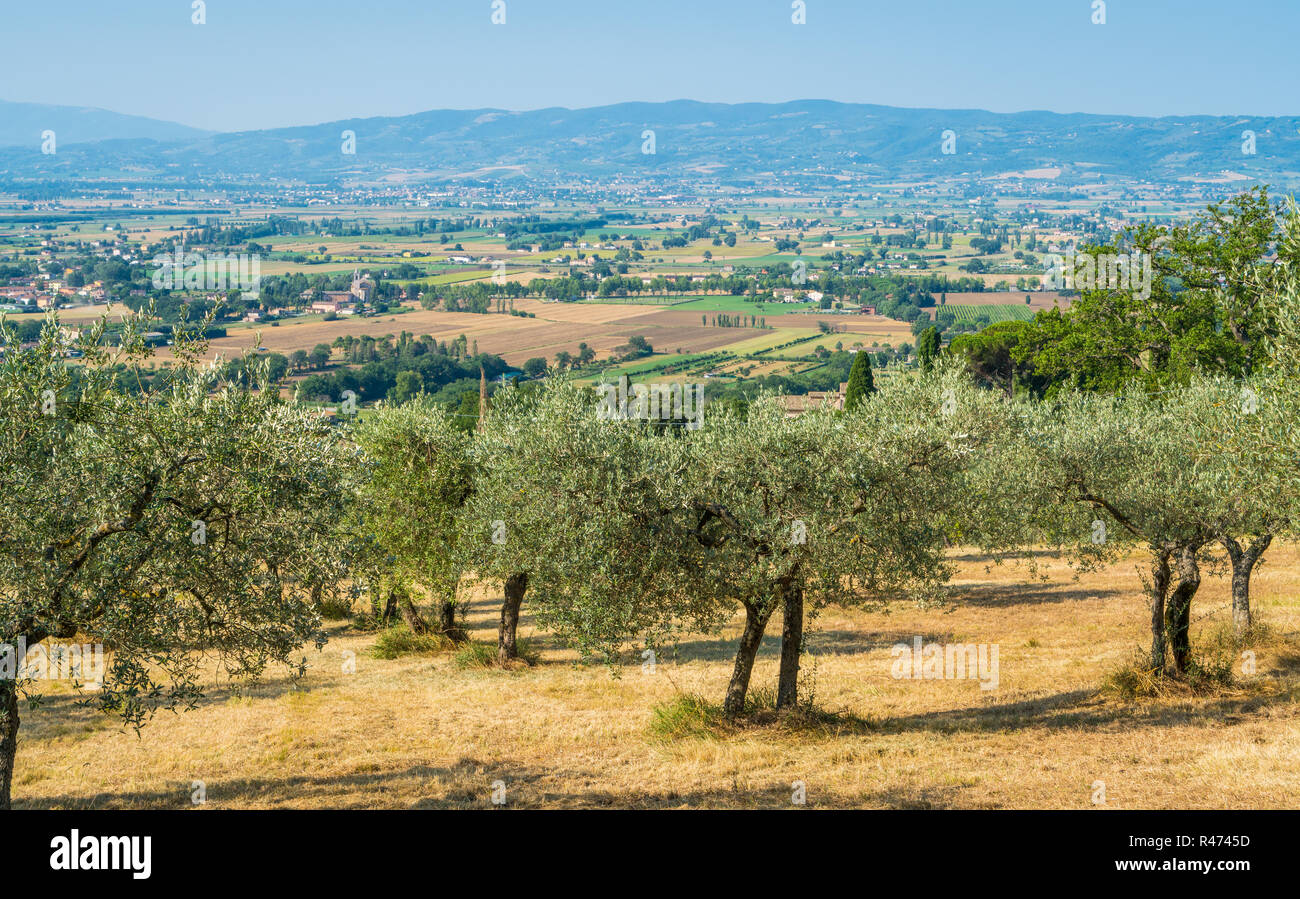 Paysage rural entourant assise, Ombrie, Italie centrale. Banque D'Images