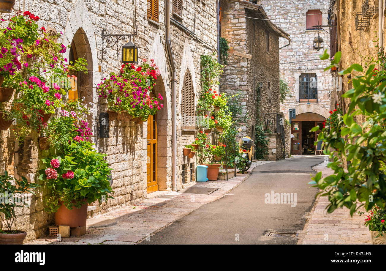 Une vue pittoresque à Assise. Province de Pérouse, Ombrie, Italie centrale. Banque D'Images