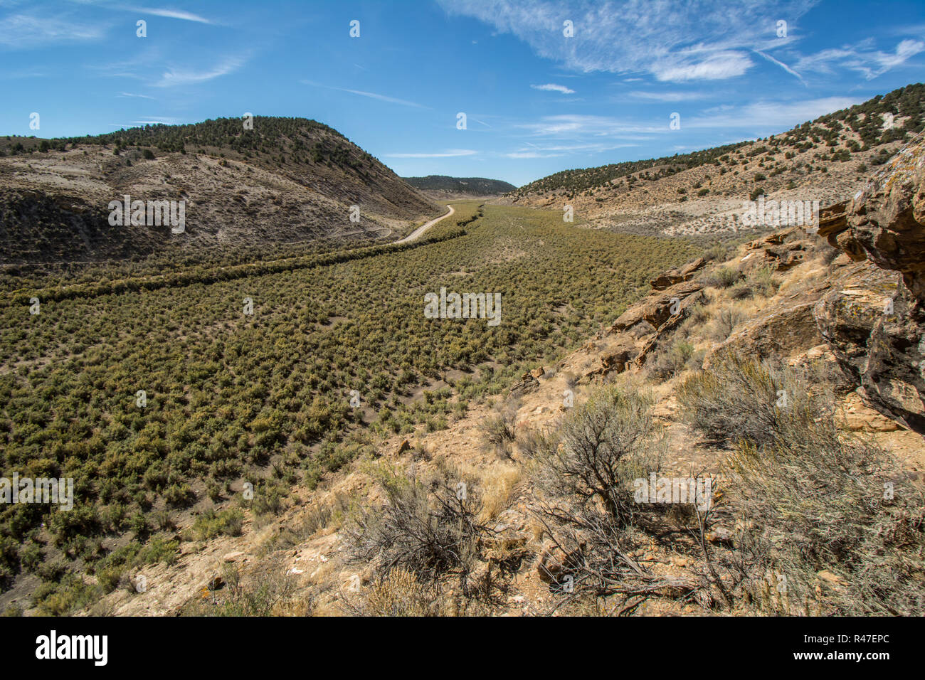 Les bassins de montagne la grande armoise zone arbustive à Rio Blanco Comté, Colorado, USA. Banque D'Images