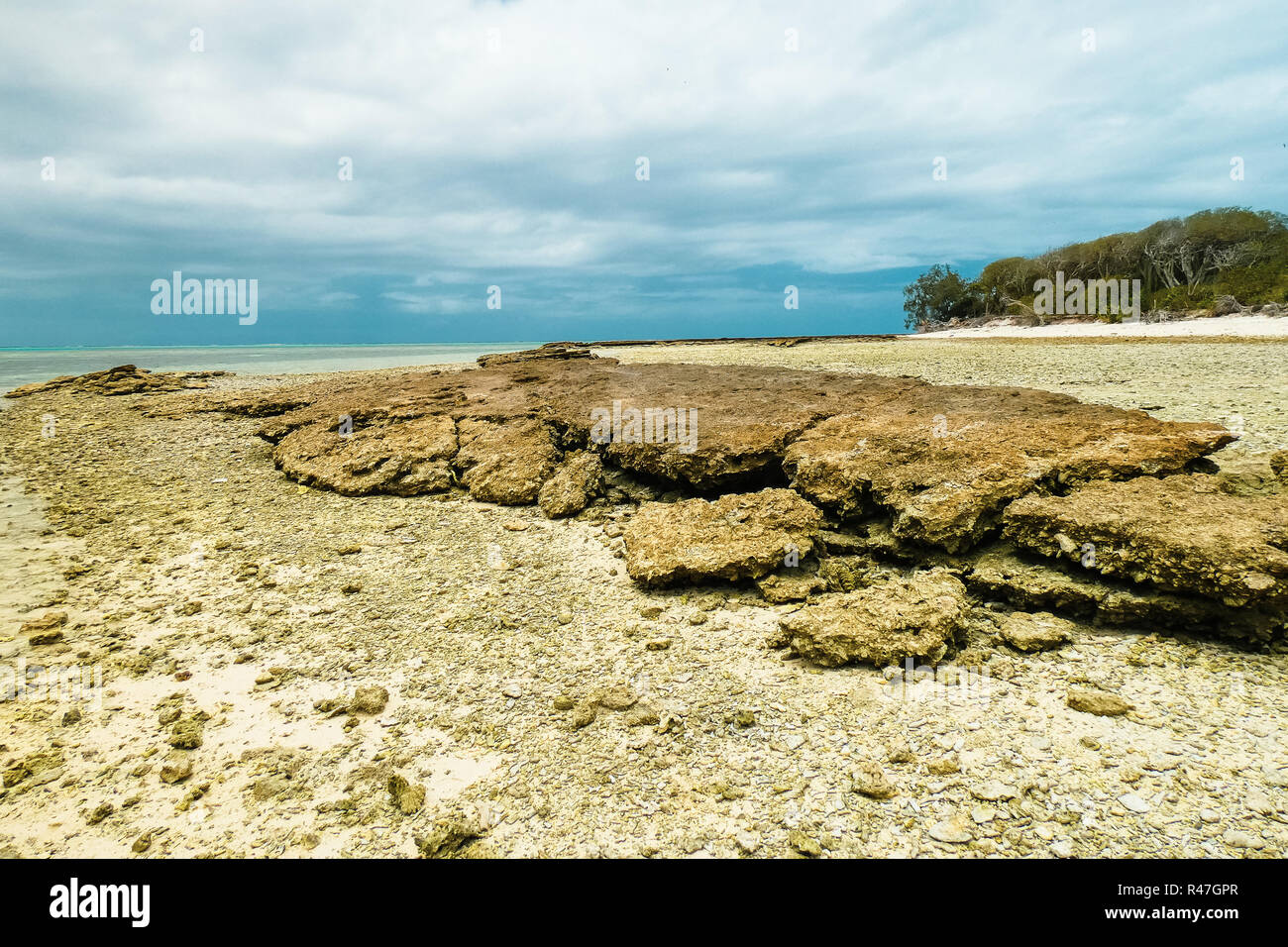 Lady Musgrave Island Banque D'Images