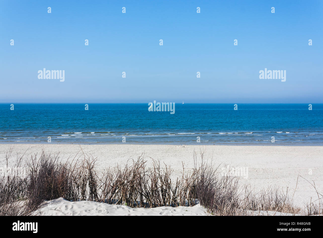 Une immense plage de sable et d'un surfeur solitaire dans la mer bleue Banque D'Images