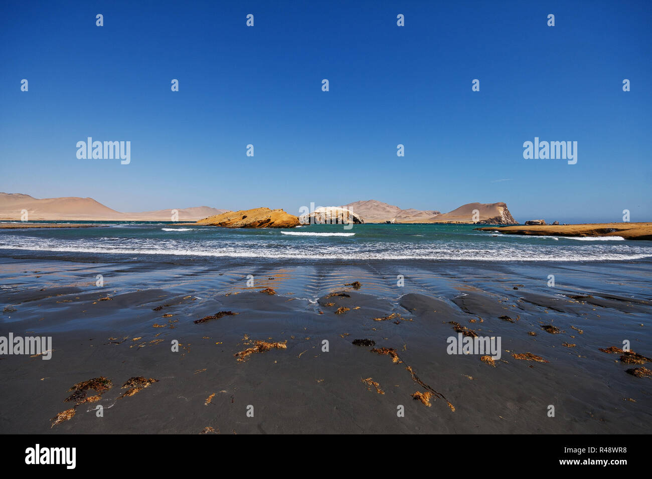 Vue d'une belle plage de sable dans la réserve nationale de Paracas Banque D'Images