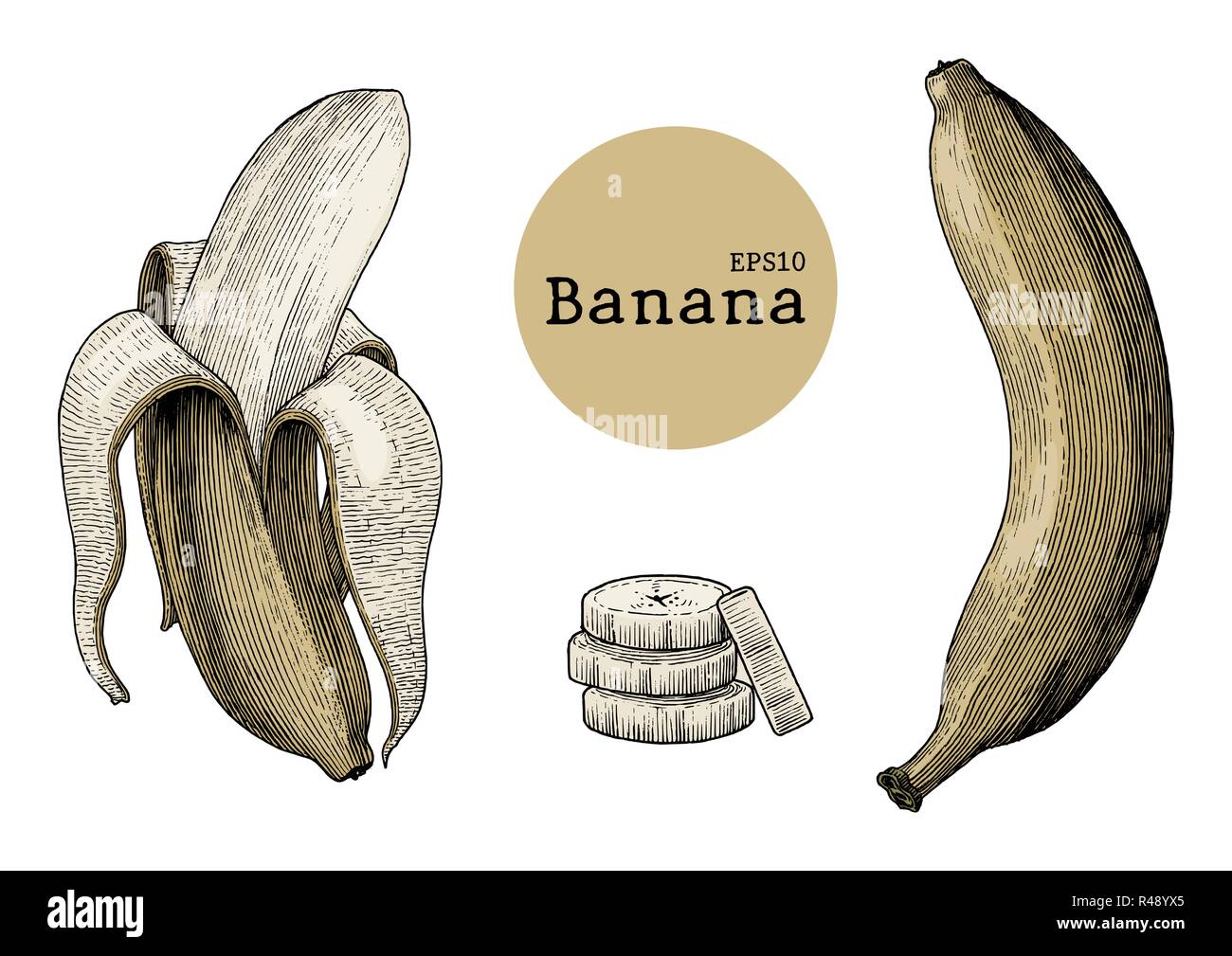 Collections de banane dessin gravure illustration vintage Illustration de Vecteur