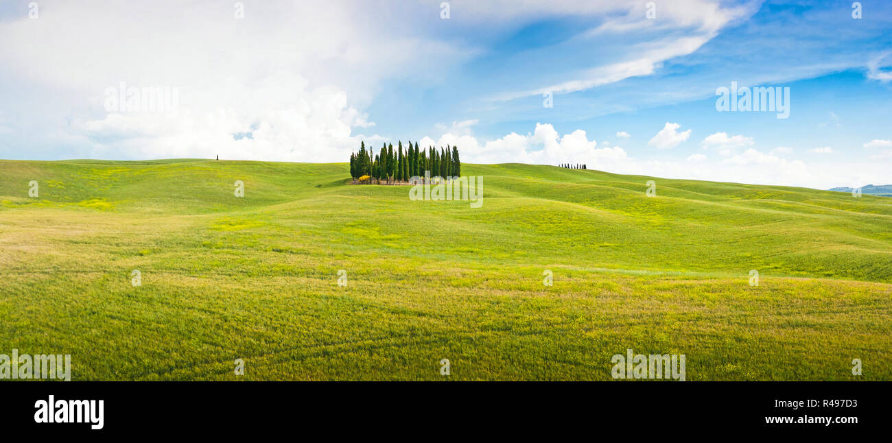 Vue panoramique sur le paysage pittoresque de la Toscane en Val d'Orcia, Italie Banque D'Images