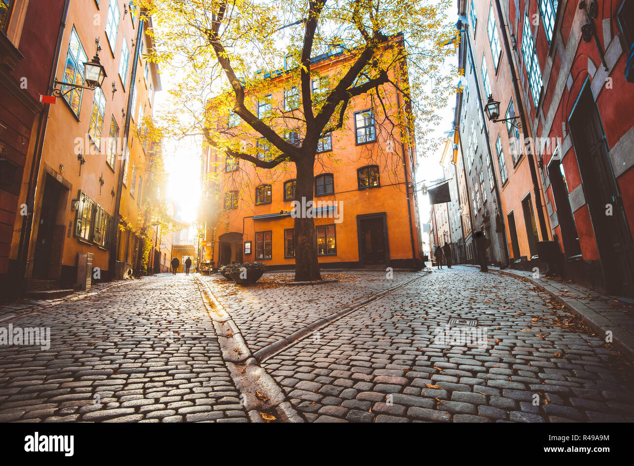 Scène de rue de Stockholm de charme avec de vieilles maisons colorées dans la belle lumière du soir au coucher du soleil d'or à Gamla Stan la vieille ville, la Suède Banque D'Images