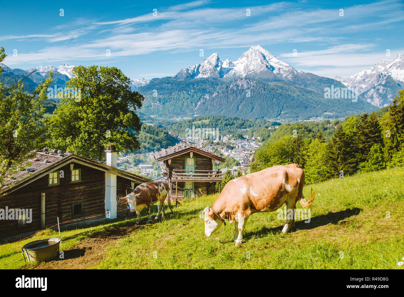 Belle vue panoramique sur un paysage alpin idyllique avec chalets de montagne traditionnels et des vaches paissant sur des prairies vertes sur une belle journée ensoleillée avec bl Banque D'Images