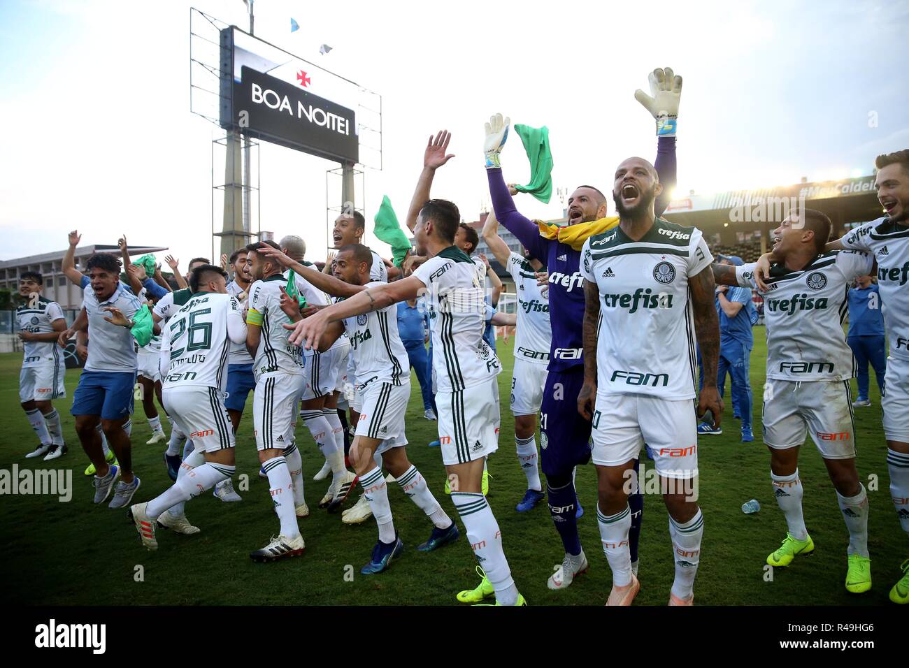 Rio de Janeiro, Brésil. 25Th Nov, 2018. Les joueurs de Palmeiras célébrer après le Brésilien 2018 Serie A match entre Vasco da Gama et Palmeiras au Sao Januario Stadium, à Rio de Janeiro, Brésil, le 25 novembre, 2018. Palmeiras a gagné 1-0 à demander le champion de la série brésilienne A. Crédit : Li Ming/Xinhua/Alamy Live News Banque D'Images