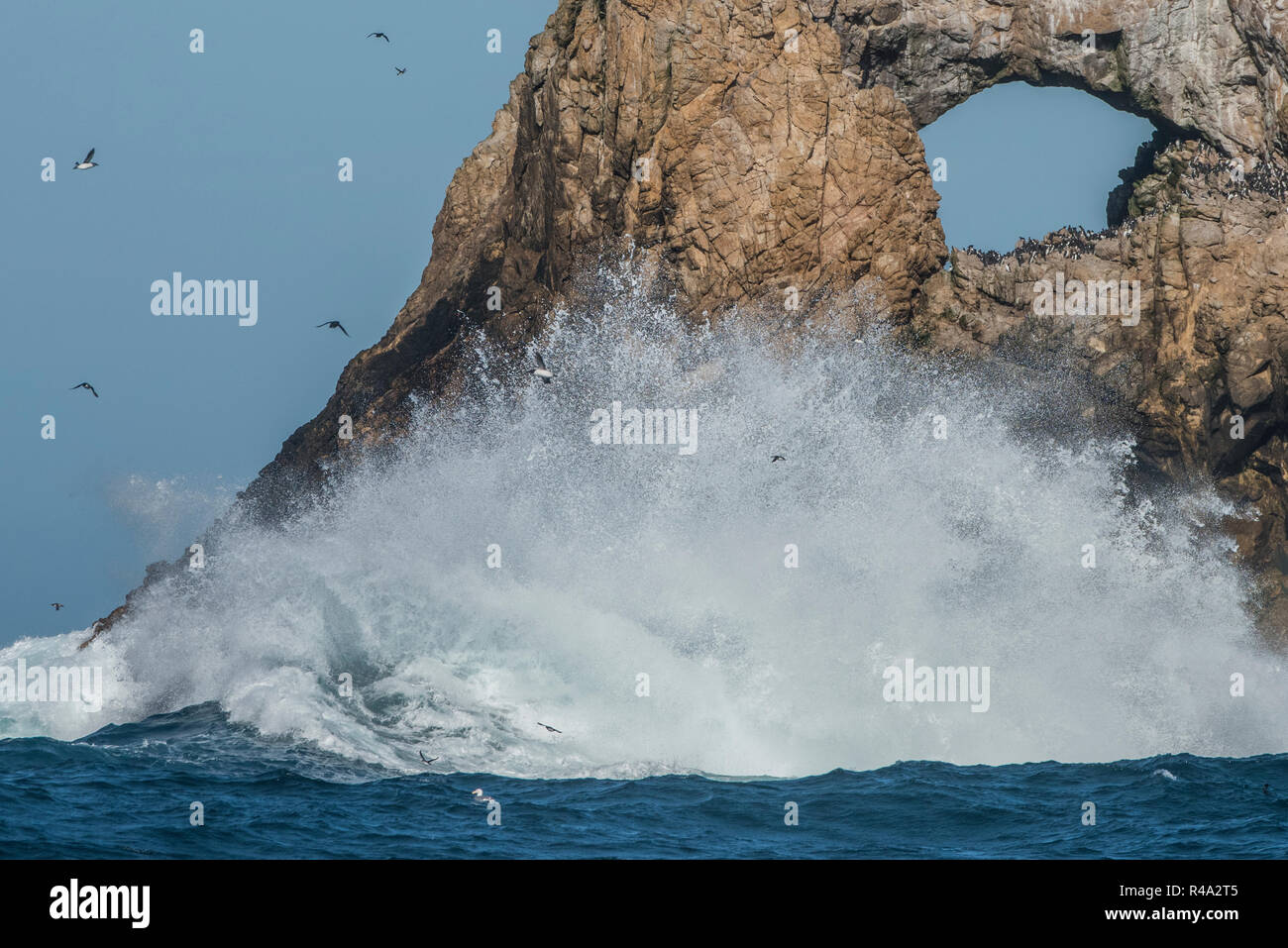 Les vagues s'écraser sur les îles Farallon et un passage rock formé naturellement le long du rivage. Banque D'Images