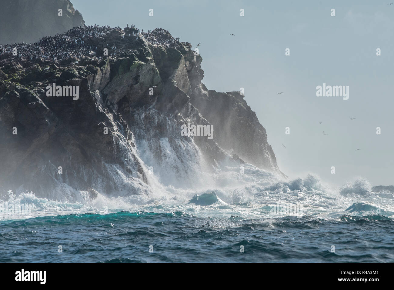 Les vagues s'écraser sur la rive de l'îles Farallon au large de la côte de Californie, les îles sont un lieu important de nidification pour les oiseaux pélagiques. Banque D'Images