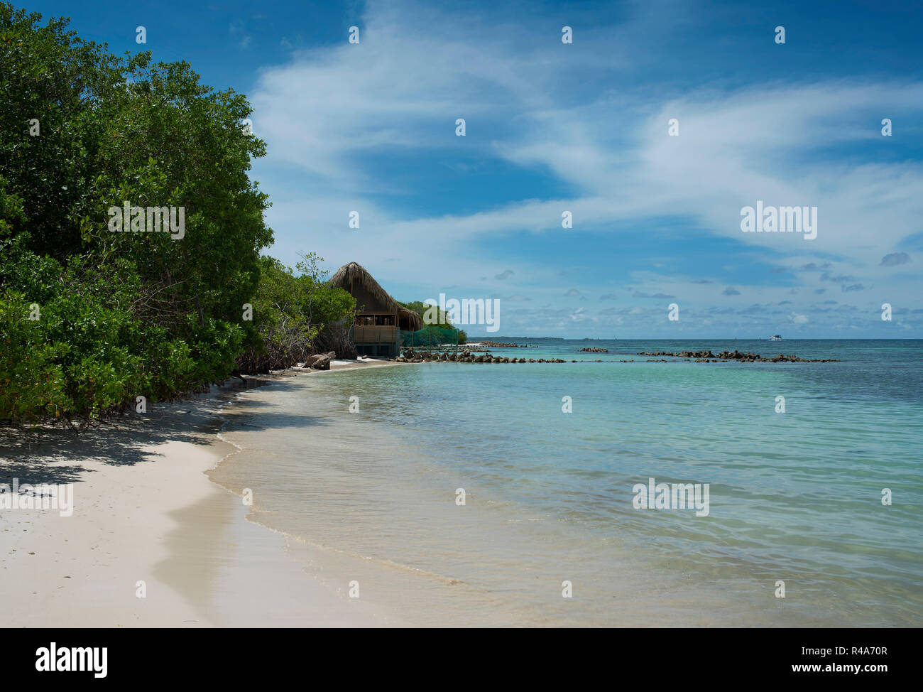 Le sable blanc et l'eau pure. Le Playa Azul (Bleu paradisiaque Plage) est une île privée, au calme, près de Cartagena de Indias, Colombie Banque D'Images Le sable blanc et l'eau pure. Le Playa Azul (Bleu paradisiaque Plage) est une île privée, au calme, près de Cartagena de Indias, Colombie Banque D'Images