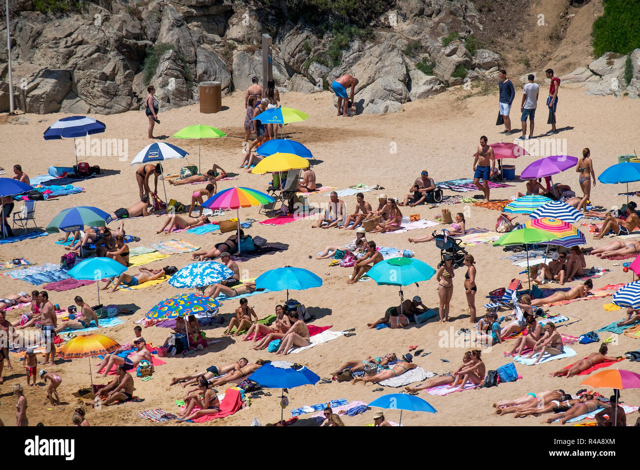 L'été au cala sa baodella, plage Platja de lloret de mar, Catalogne, espagne. Banque D'Images