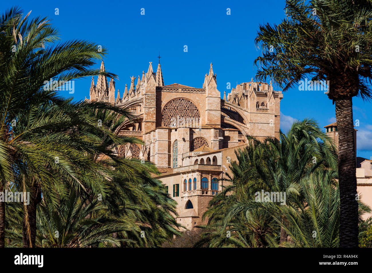 La Seu, la cathédrale de Palma, Palma ou Palma de Mallorca, Majorque, Iles Baléares, Espagne, Europe Banque D'Images