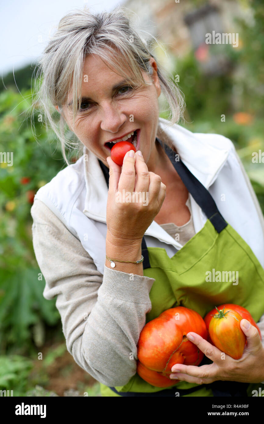 Senior woman tasting tomates fraîches du jardin Banque D'Images