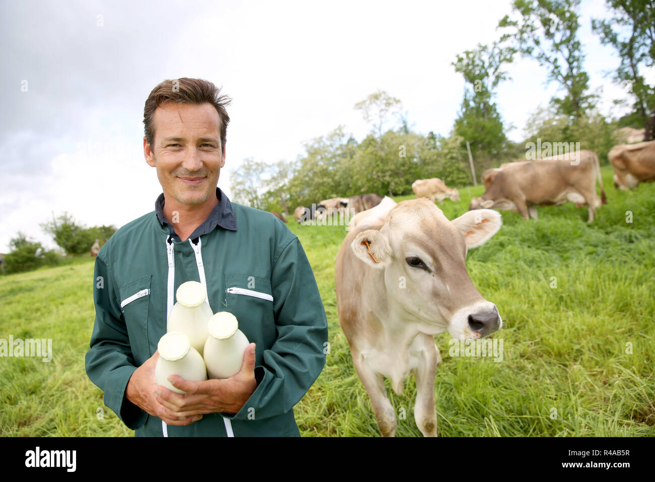 Farmer in field holding bouteilles de lait Banque D'Images