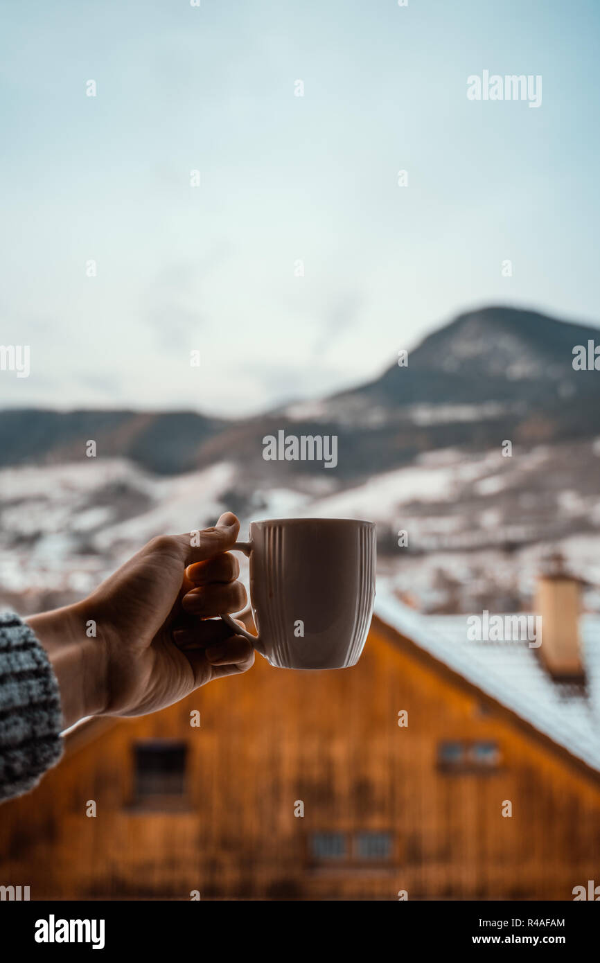 Pull-over chaud Hand Holding Mug Chaud Froid paysage sur la Montagne enneigée Banque D'Images Pull-over chaud Hand Holding Mug Chaud Froid paysage sur la Montagne enneigée Banque D'Images
