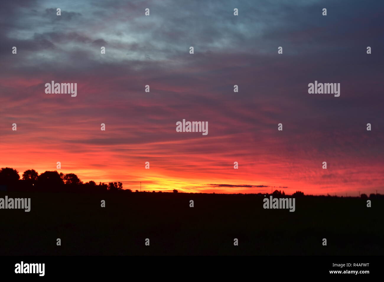 Le lever du soleil sur les terres agricoles en milieu rural au Michigan. Les espaces ouverts et les champs pour faire une grande occasion de capturer le coucher du soleil. Banque D'Images