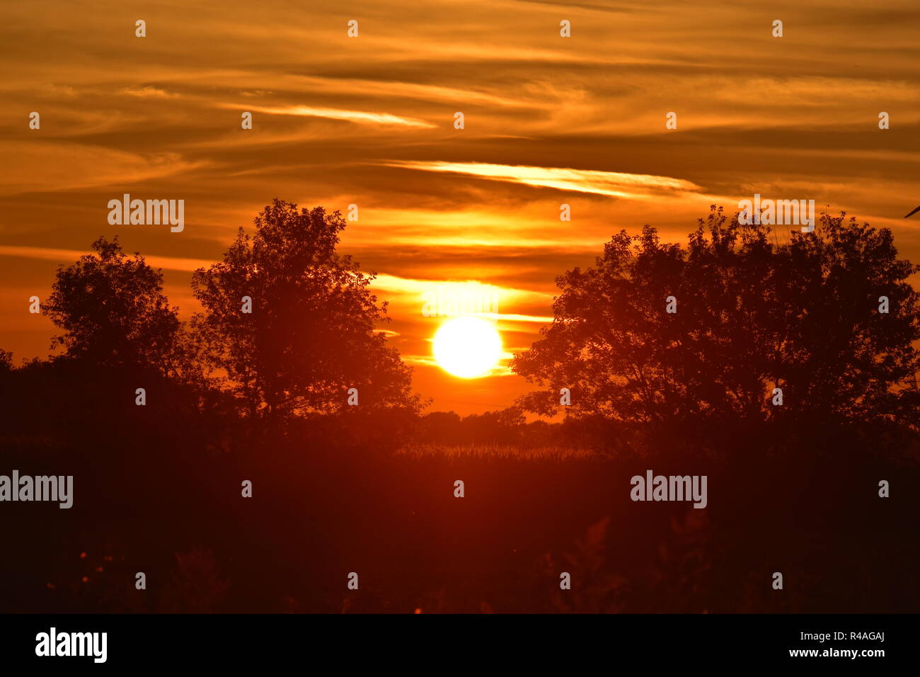 Coucher du soleil avec une éolienne, situé dans le Michigan. Il y a également un champ de blé en premier plan avec quelques silhouettes d'arbres. Banque D'Images