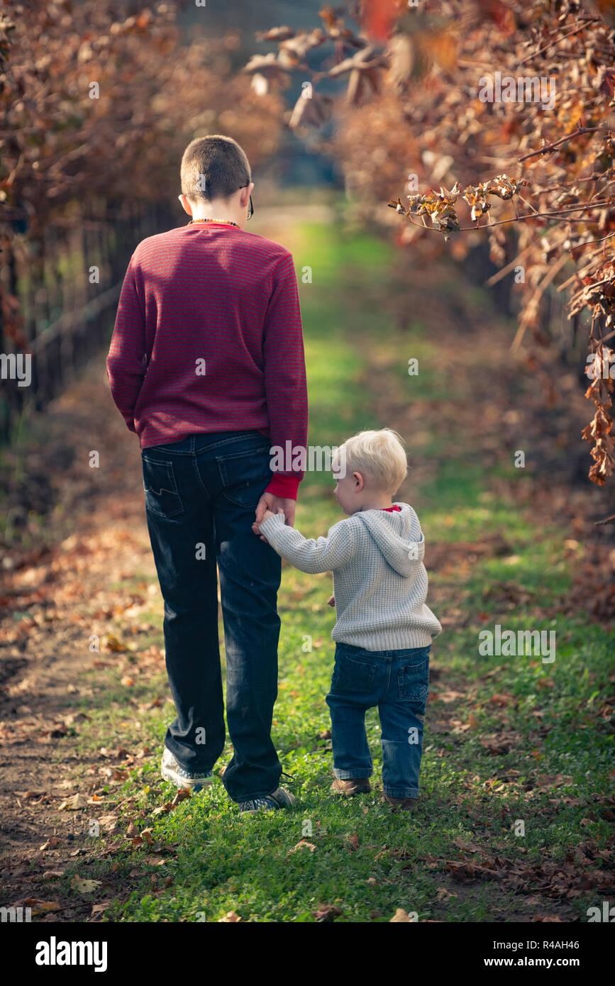 Un Frère Plus Âgé Et Un Plus Jeune Frère Marcher Ensemble Dans Le Cadre  D'un Vignoble Photo Stock - Alamy