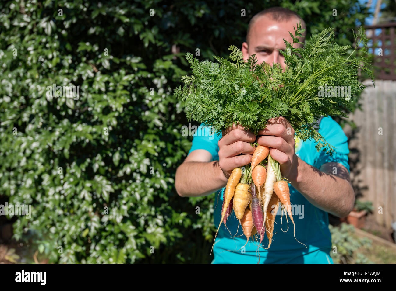 Un jeune homme de l'Australie blanche 21 ans holding up home grown légumes anciens carottes dans une arrière cour jardin Banque D'Images