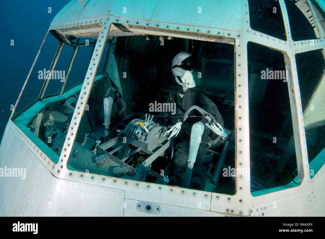 Avion sabordé pour les plongeurs, C130, C-130 Hercules, site de plongée  Aqaba, Aqaba, Jordanie, Asie Mineure, Asie Photo Stock - Alamy