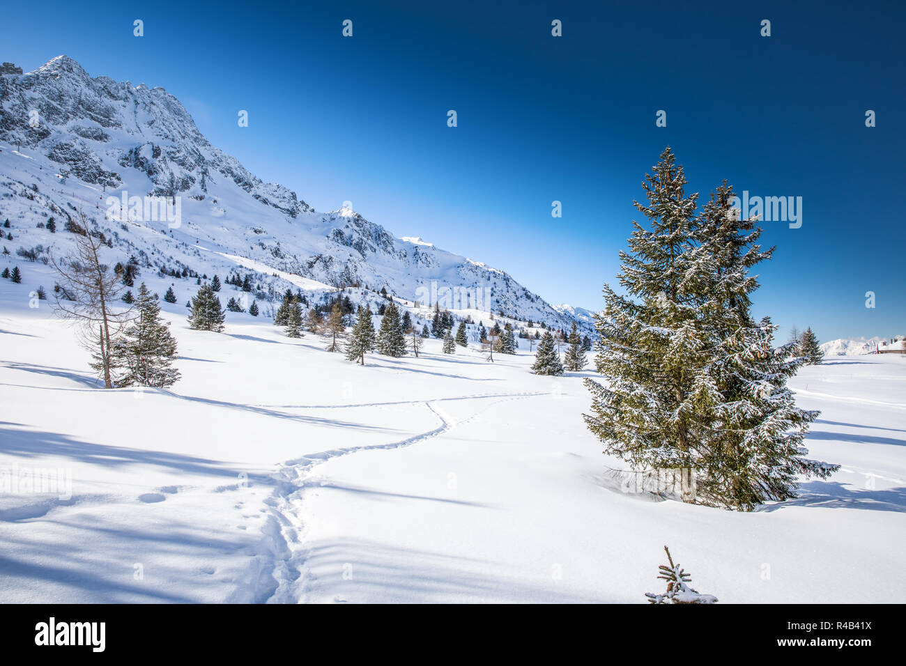 Superbe lever de soleil sur l'hiver, les montagnes de l'Adamello Presanella Tonale ville, Alpes italiennes, l'Europe. Banque D'Images