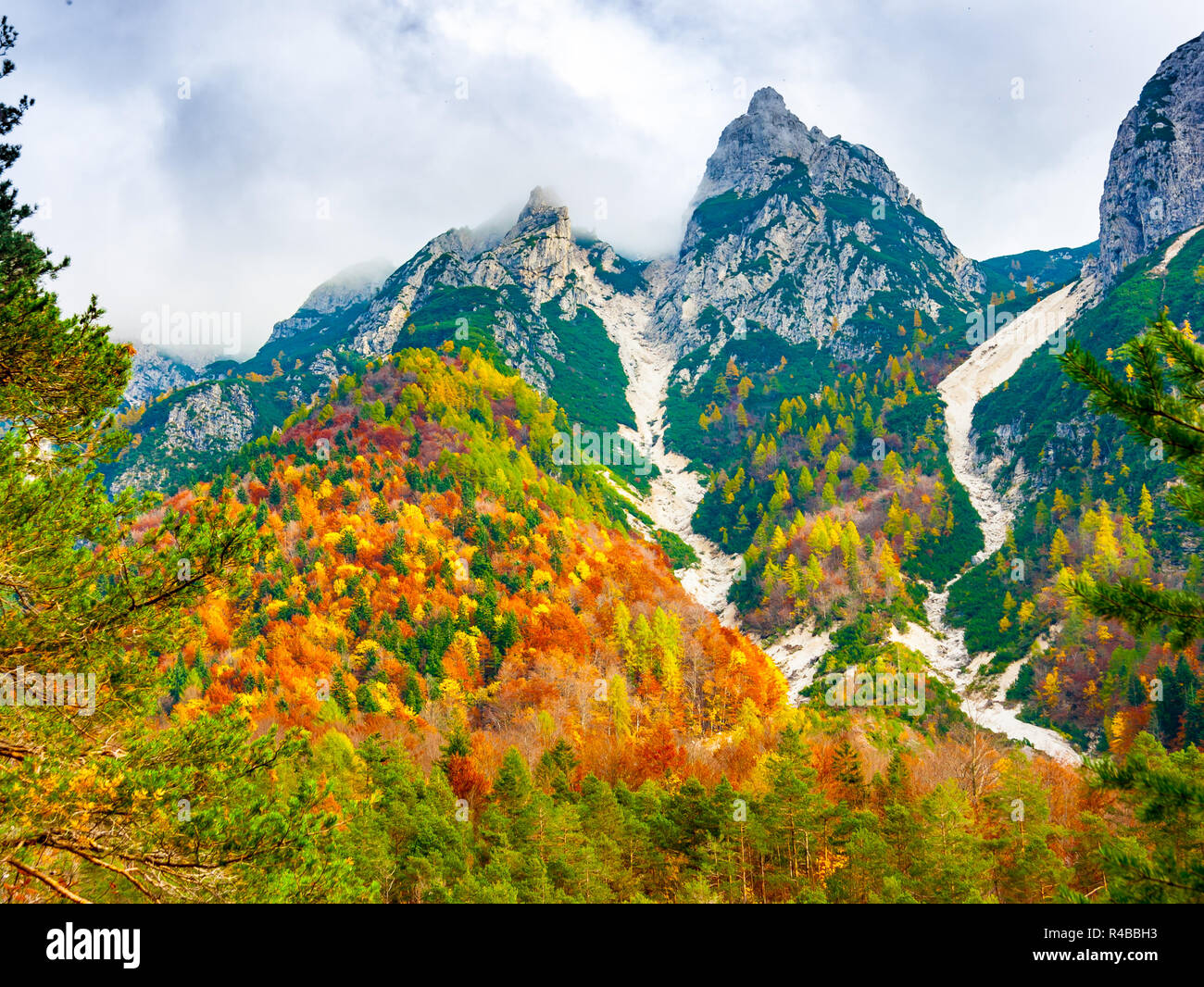 Vue sur la forêt sous Jof di Montasio en couleurs automnales dans les Alpes Juliennes, Val Dogna, Friuli Venezia Giulia, Italie Banque D'Images