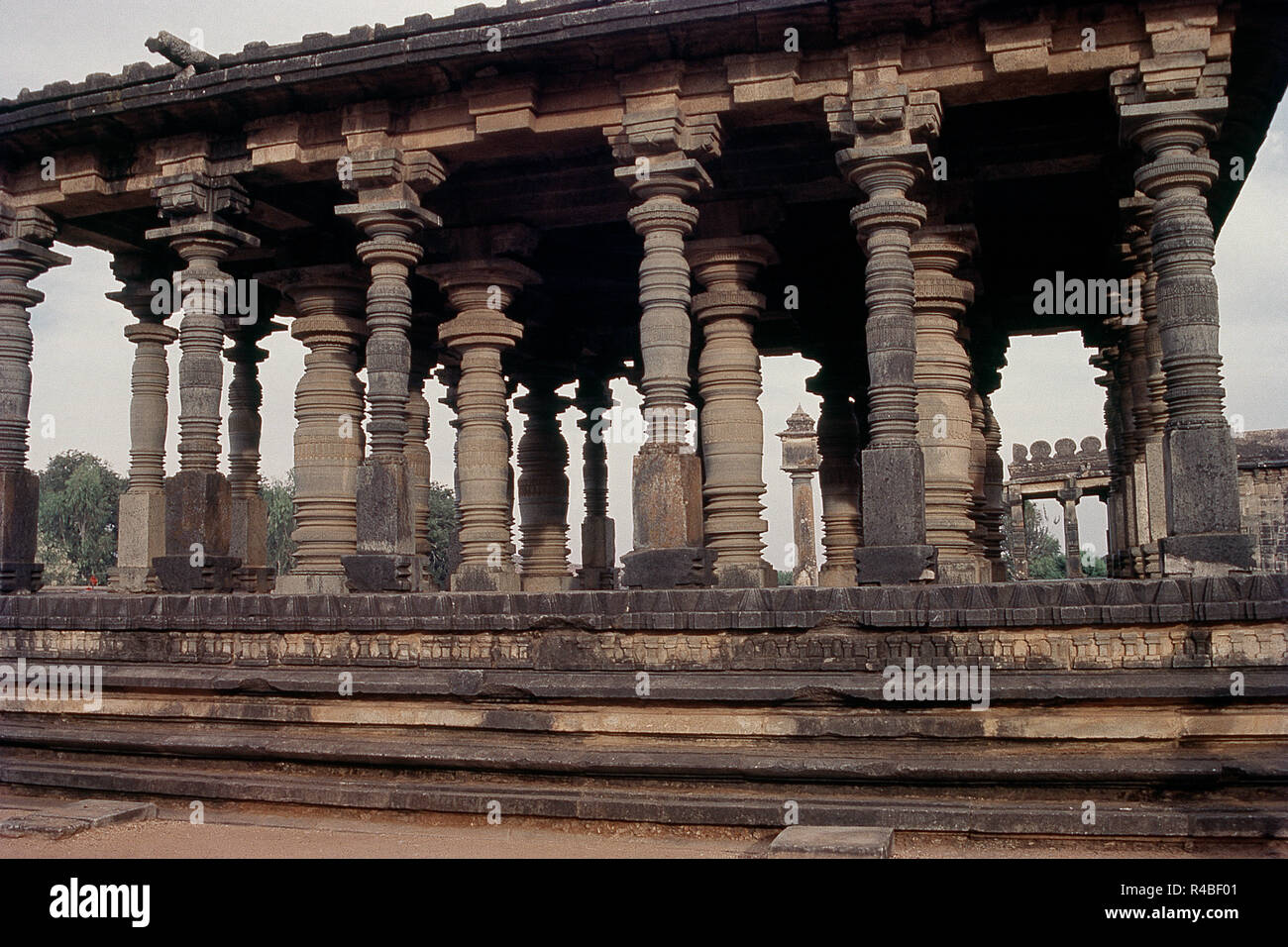 Jain temple à Parsvanatha bastis, halebidu, Karnataka, Inde, Asie Banque D'Images