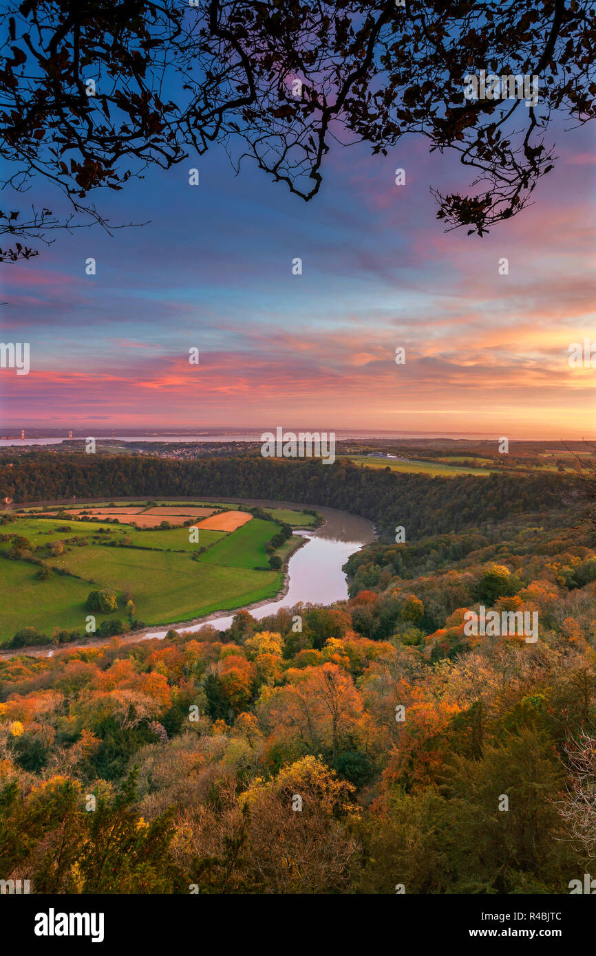 La rivière Wye, Wyndcliff et estuaire du Severn, vallée de la Wye, Monmouthshire, Wales, UK Banque D'Images