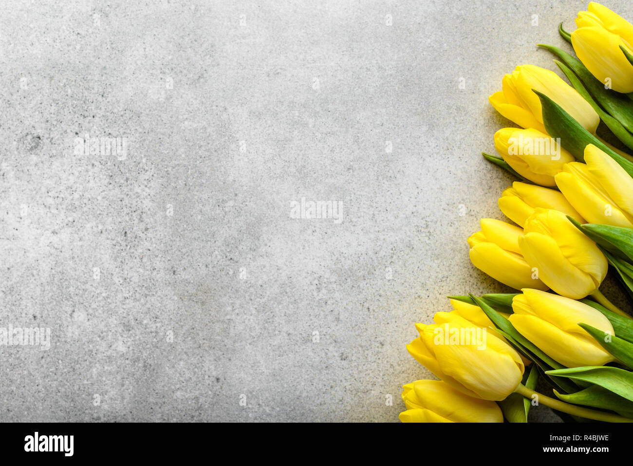 Tulipes jaunes, printemps pâques fête des mères pour l'arrière-plan ou une carte pour la journée de la femme au 8 mars Banque D'Images