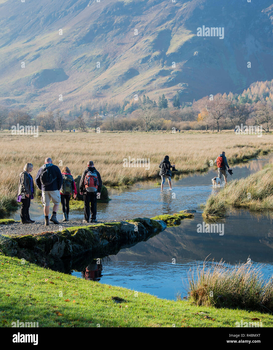 Groupe de randonneurs pagayer à travers un sentier inondé dans le Lake District Angleterre Royaume-uni. Banque D'Images