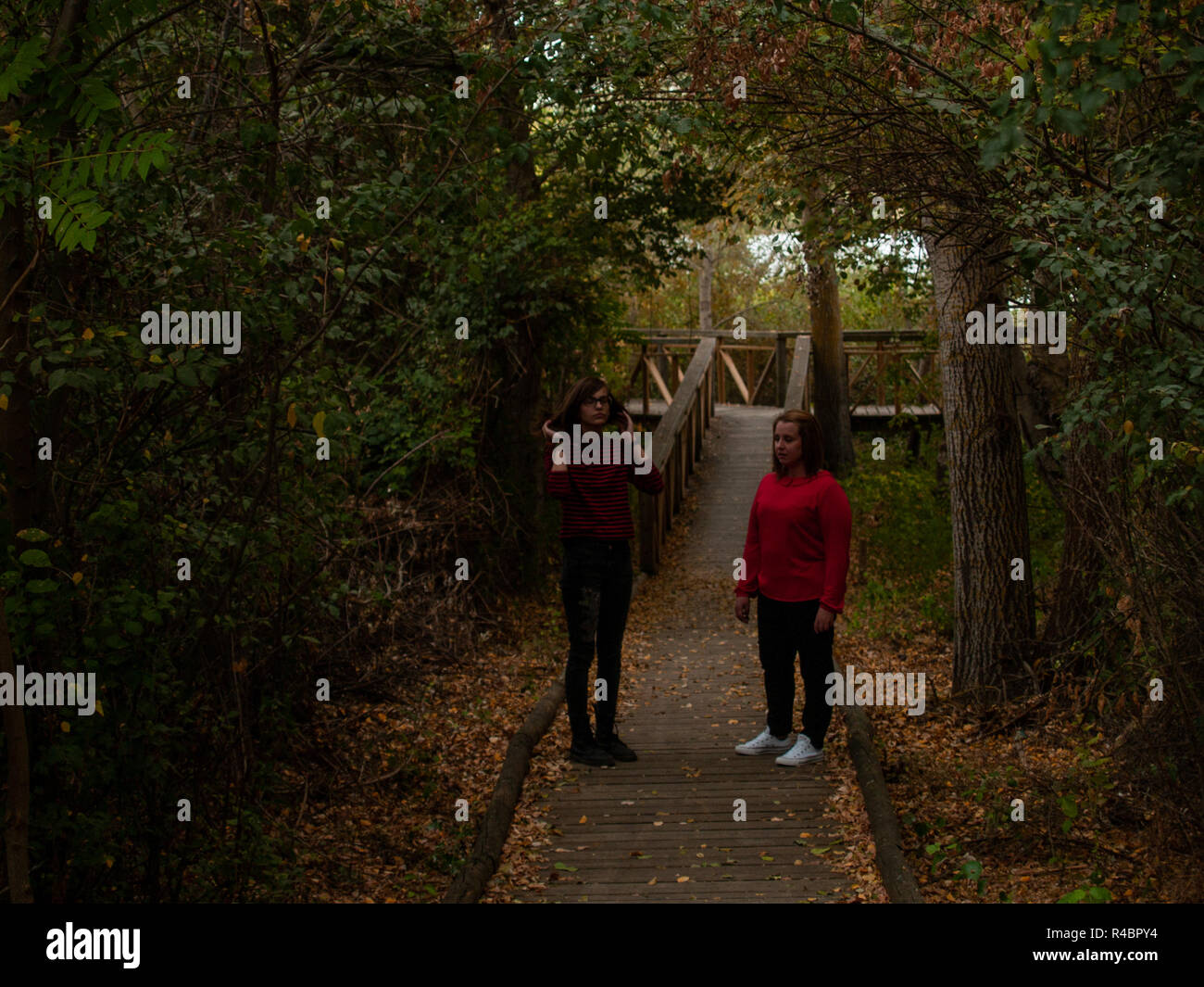 Deux femmes marchant sur un chemin en bois dans une forêt en automne Banque D'Images