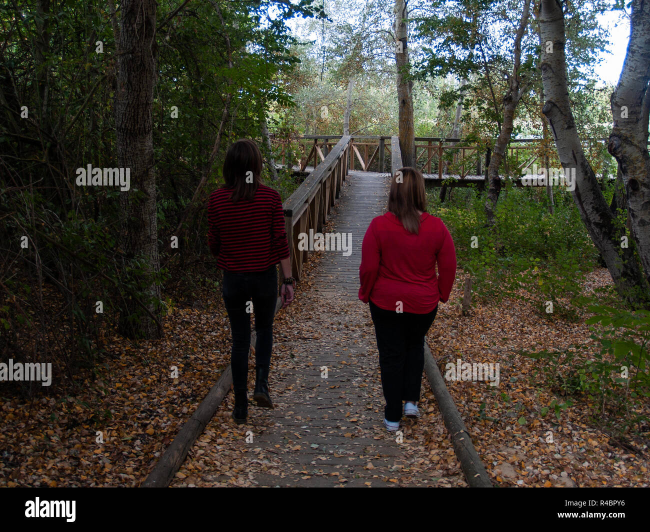 Deux femmes marchant sur un chemin en bois dans une forêt en automne Banque D'Images