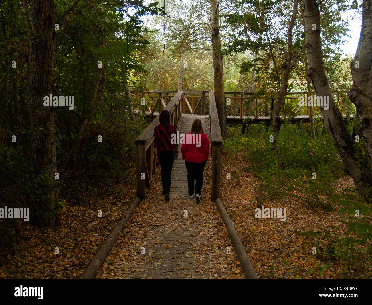 Deux femmes marchant sur un chemin en bois dans une forêt en automne Banque D'Images