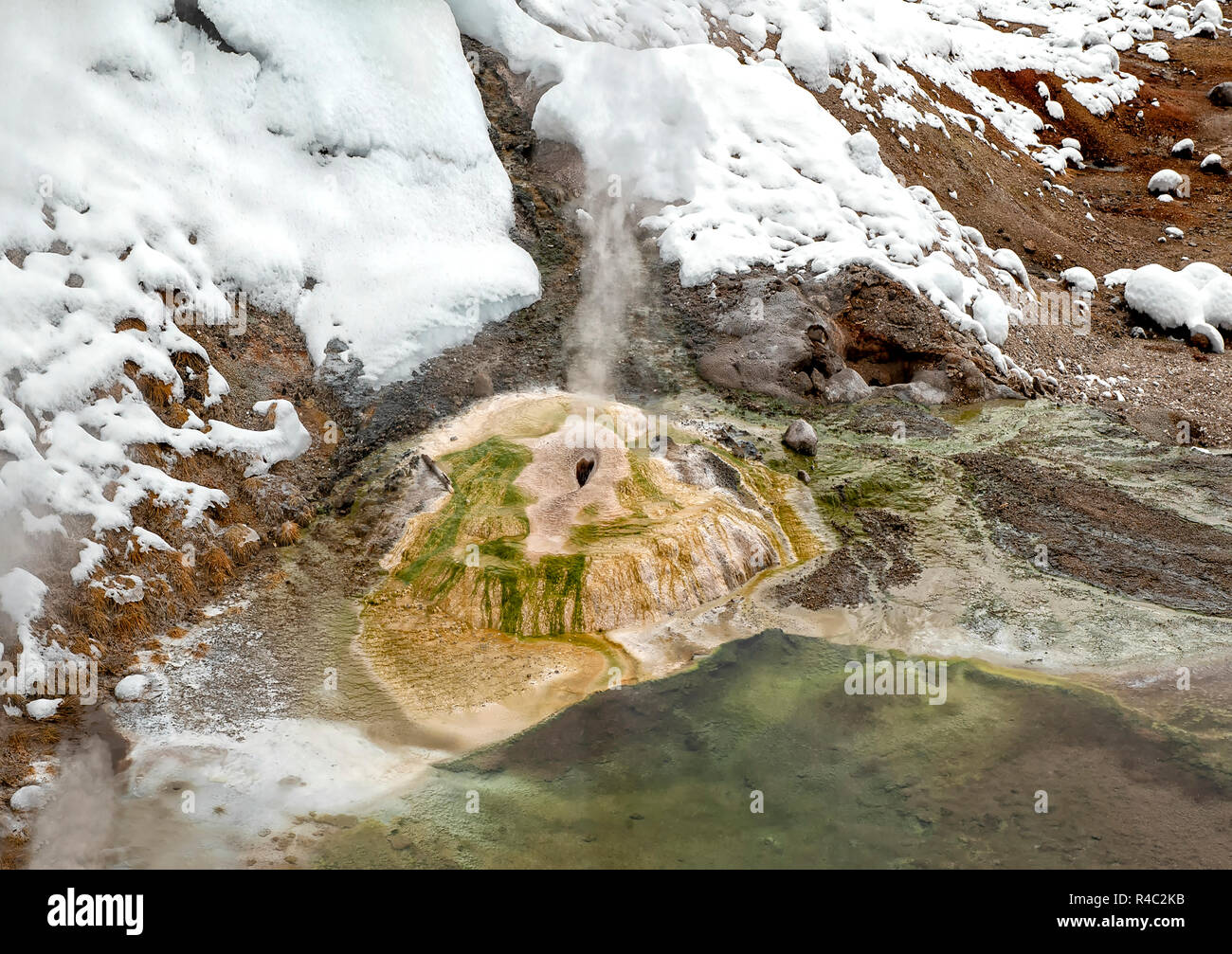 Hot Spring Yellowstone National Park Banque D'Images