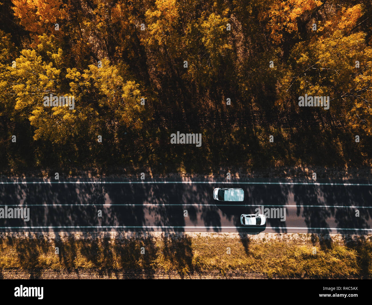 Vue aérienne de deux voitures blanc sur la route à travers forêt en automne, drone point de vue directement au-dessus Banque D'Images