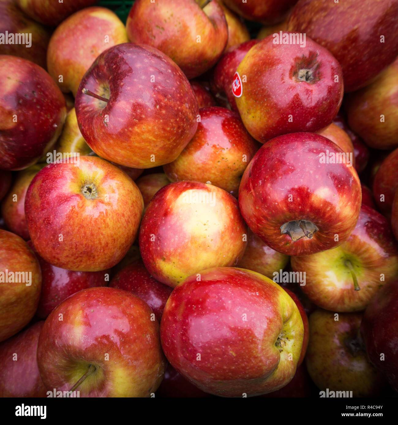 Les pommes close up au marché. Pommes rouges background Banque D'Images