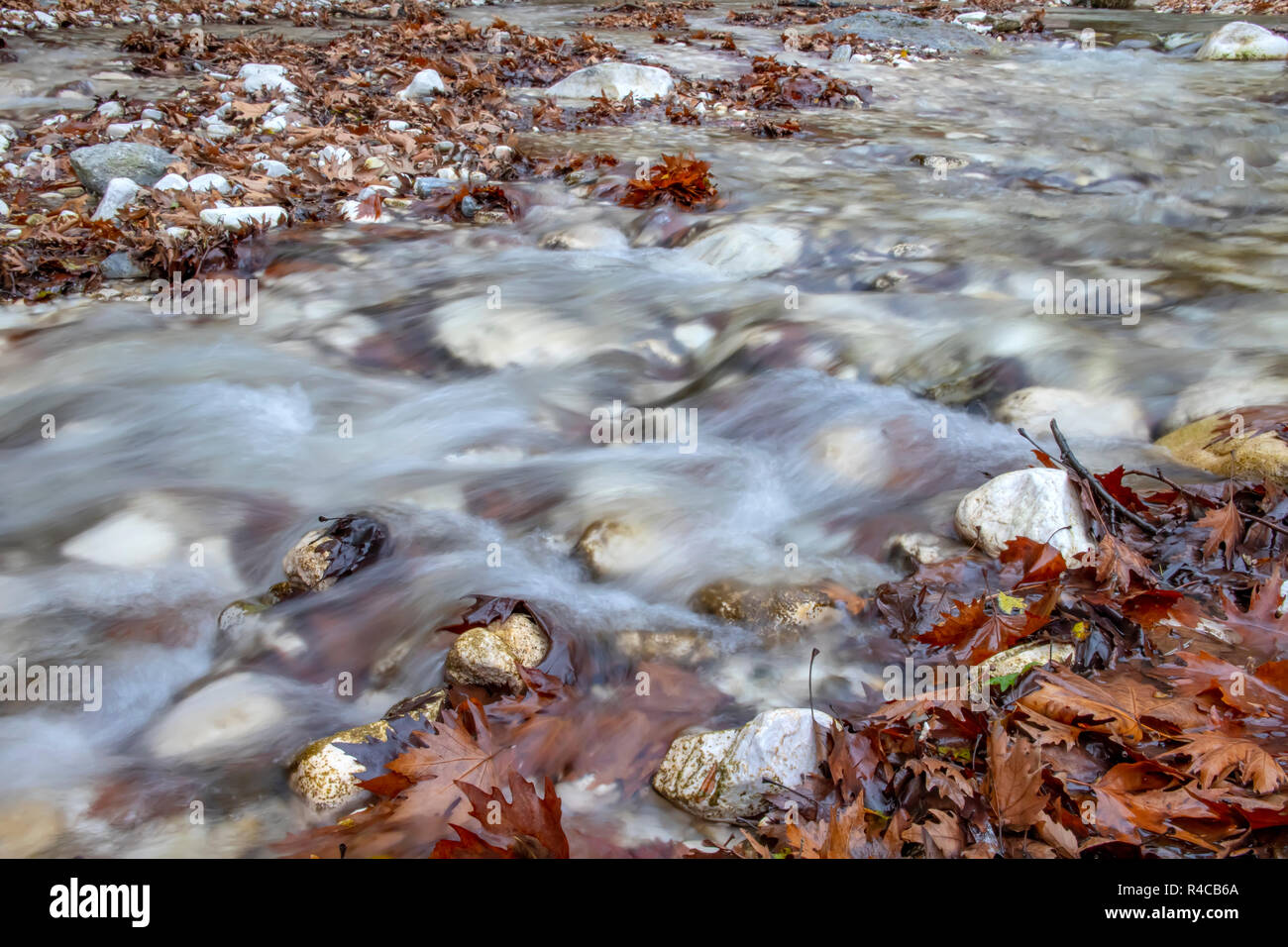 Ruisseau de montagne qui coule entre les pierres et accueillis avec brown feuilles d'automne la Grèce Banque D'Images