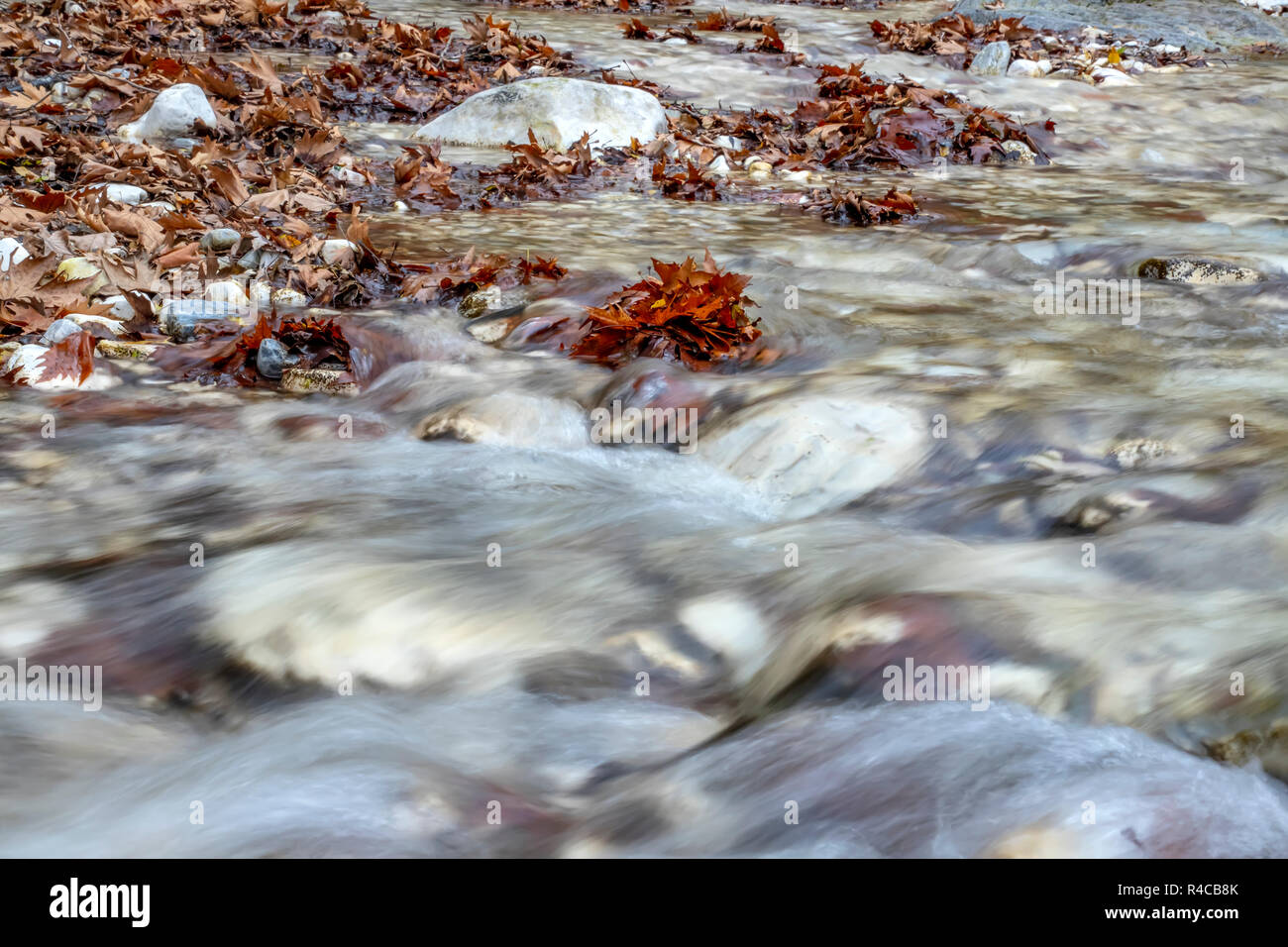 Ruisseau de montagne qui coule entre les pierres et accueillis avec brown feuilles d'automne la Grèce Banque D'Images