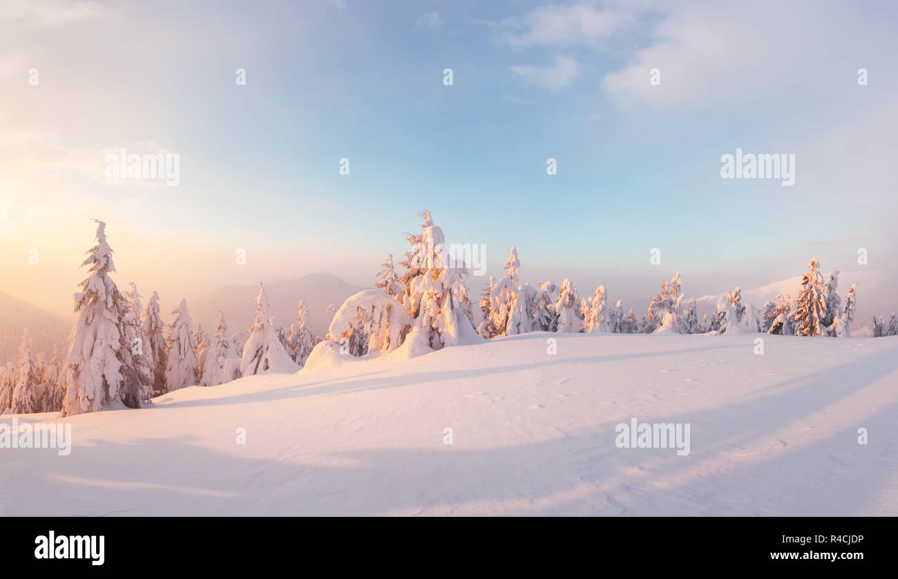 Orange fantastique paysage d'hiver dans les montagnes de neige par la lumière du soleil rougeoyant. Scène hivernale spectaculaire avec des arbres enneigés. Concept de vacances de Noël. Banque D'Images