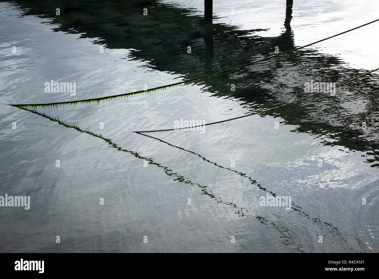 Cordes de bateau, des reflets dans les eaux calmes de l'estuaire à Salcombe Banque D'Images