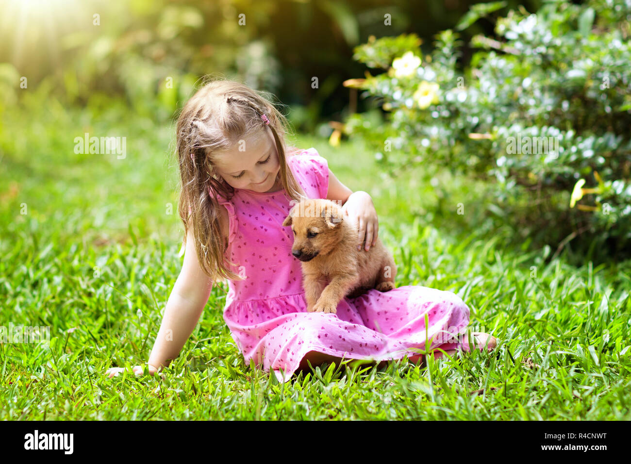 Les Enfants Jouent Avec Mignon Chiot Les Enfants Et Bebes Chiens Jouant Dans Le Jardin D Ete Ensoleille Little Girl Holding Chiots Enfant Avec Chien De Compagnie Famille Et P Photo Stock
