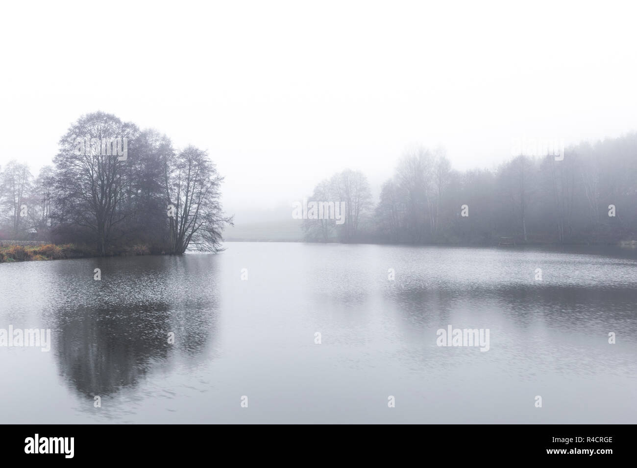 Un brouillard tôt le matin sur un lac Banque D'Images