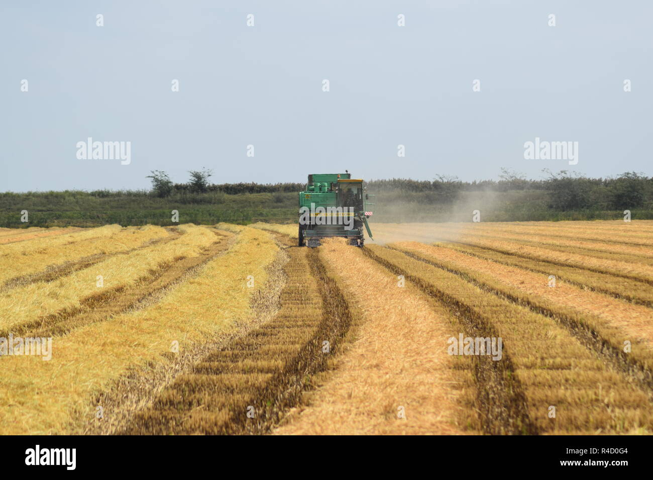 Moissonneuses-batteuses Don. Les machines agricoles. Banque D'Images