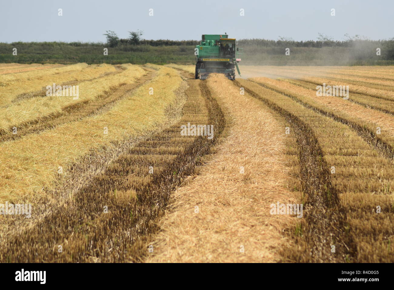 Moissonneuses-batteuses Don. Les machines agricoles. Banque D'Images