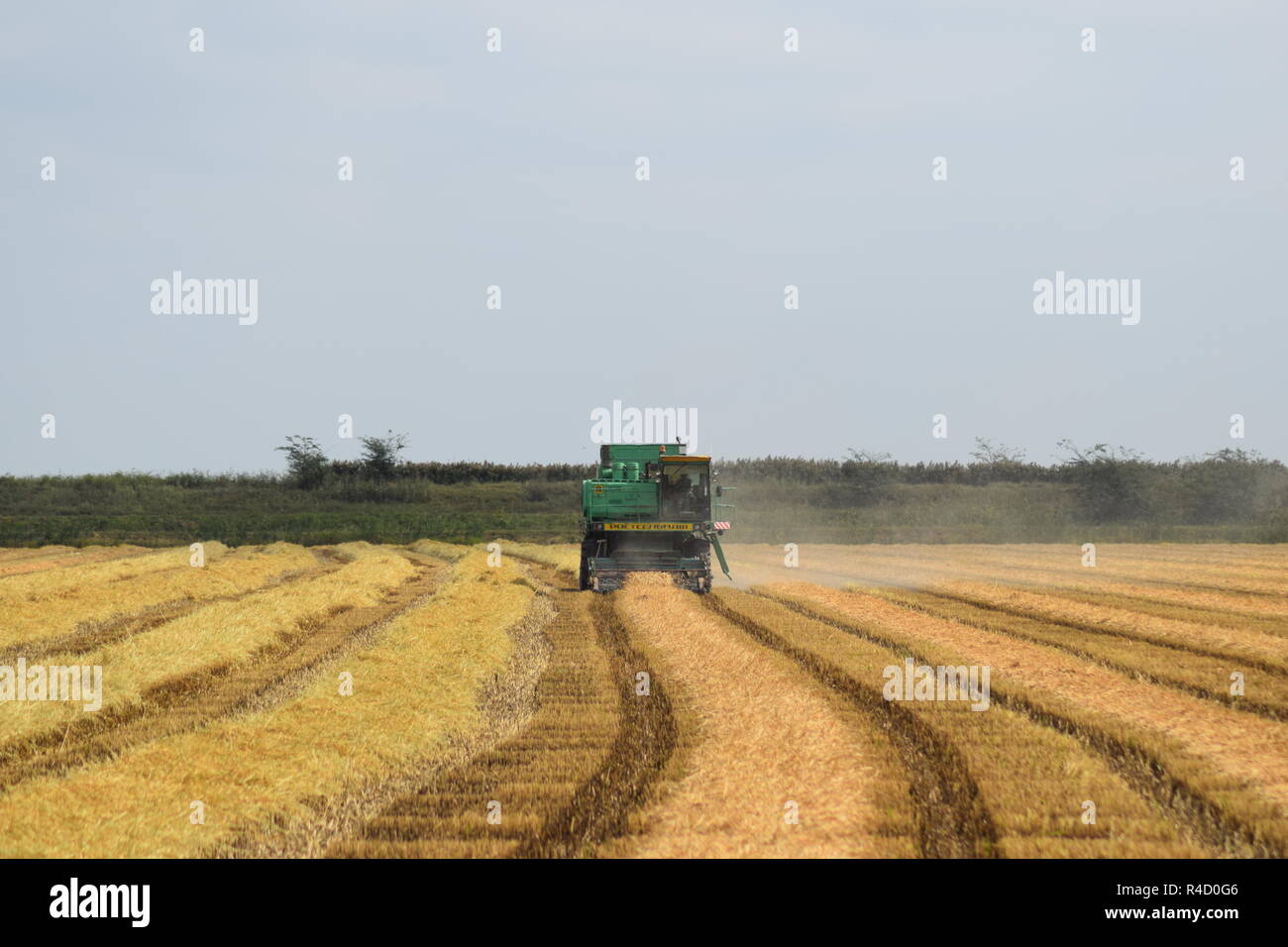 Moissonneuses-batteuses Don. Les machines agricoles. Banque D'Images