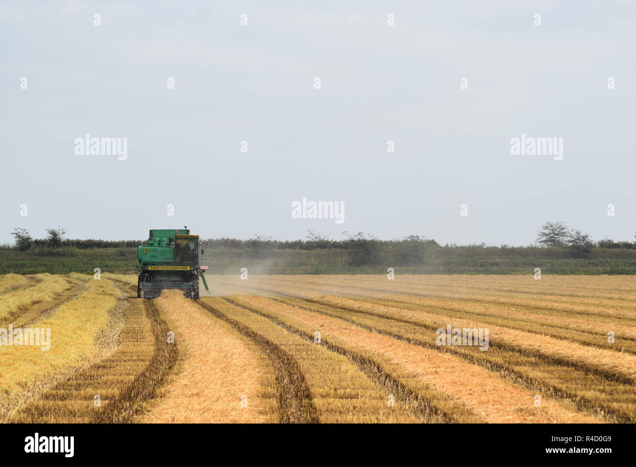 Moissonneuses-batteuses Don. Les machines agricoles. Banque D'Images