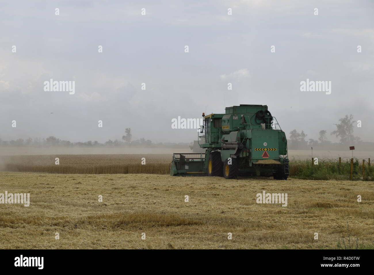 Kombain recueille sur la récolte de blé. Les machines agricoles sur le terrain. Banque D'Images