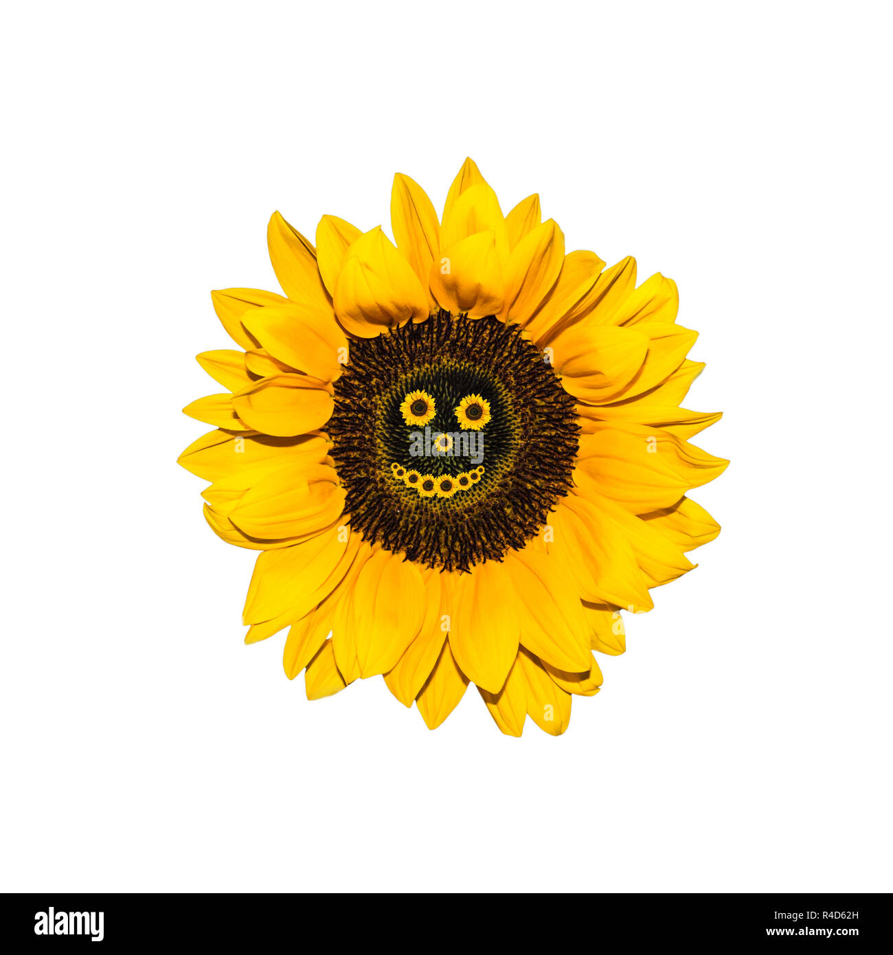 Avec tournesol smiling face Banque D'Images