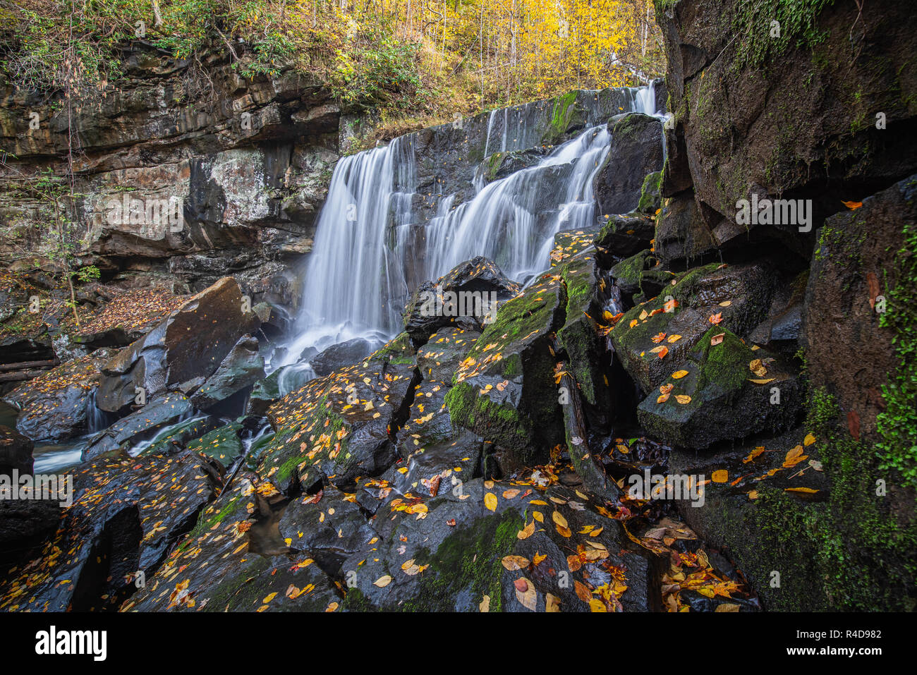 Wolf Creek Falls dans la New River Gorge de la Virginie de l'Ouest est encadrée par des rochers et des arbres ornés de feuillage d'automne jaune coloré. Banque D'Images