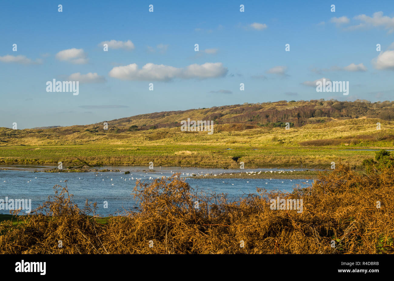 De l'autre côté de la rivière Ogmore au Merthyr Mawr Sand Dunes Vallée de Glamorgan au Pays de Galles du Sud Banque D'Images